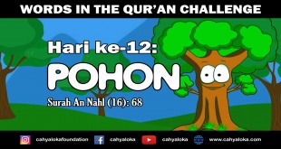 Kisah Dalam Al Qur'an