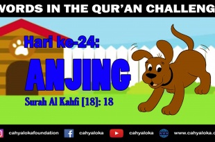 Kisah Dalam Al Qur'an