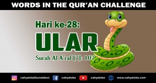 Kisah Dalam Al Qur'an