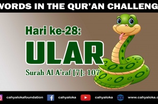 Kisah Dalam Al Qur'an